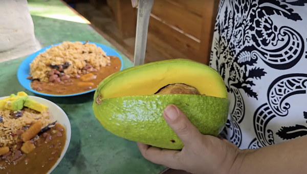 Cómo elegir un buen aguacate