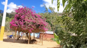 Hoy comienza la primavera en el hemisferio norte