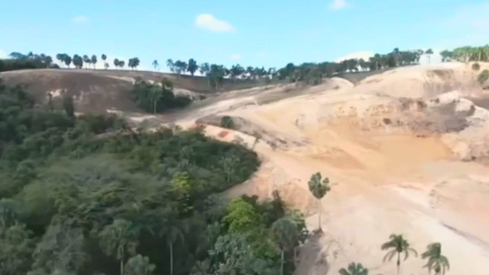 Denuncian tala indiscriminada de árboles en Santo Cerro, La Vega -  Remolacha - Noticias Republica Dominicana