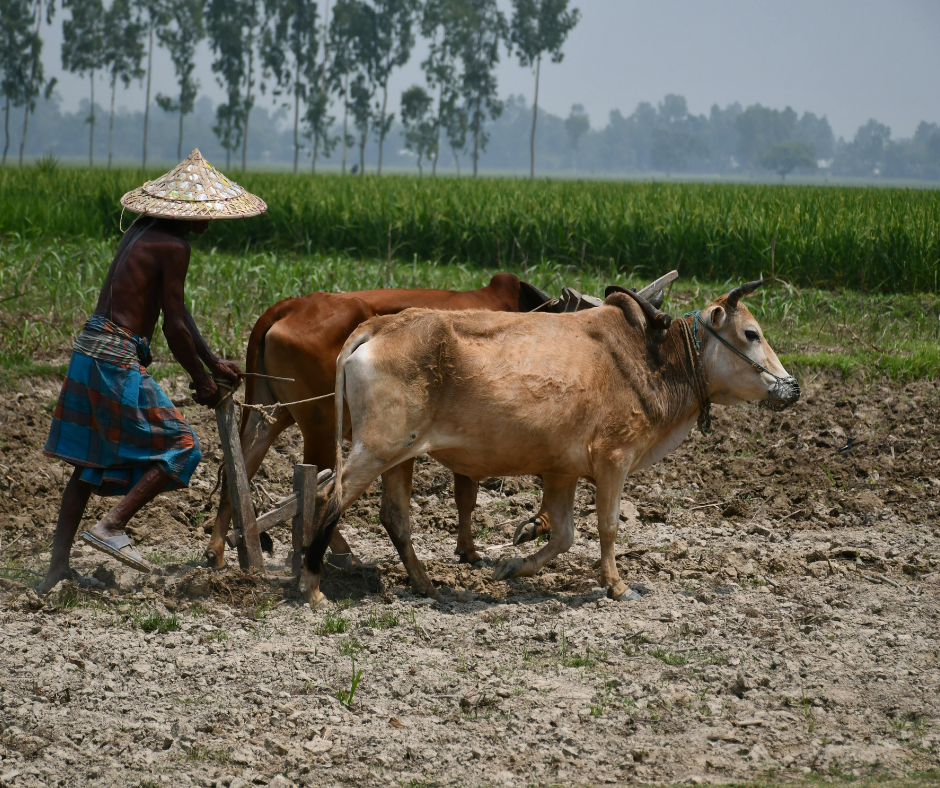 California elimina el Día de César Chávez tras escándalo de abuso sexual