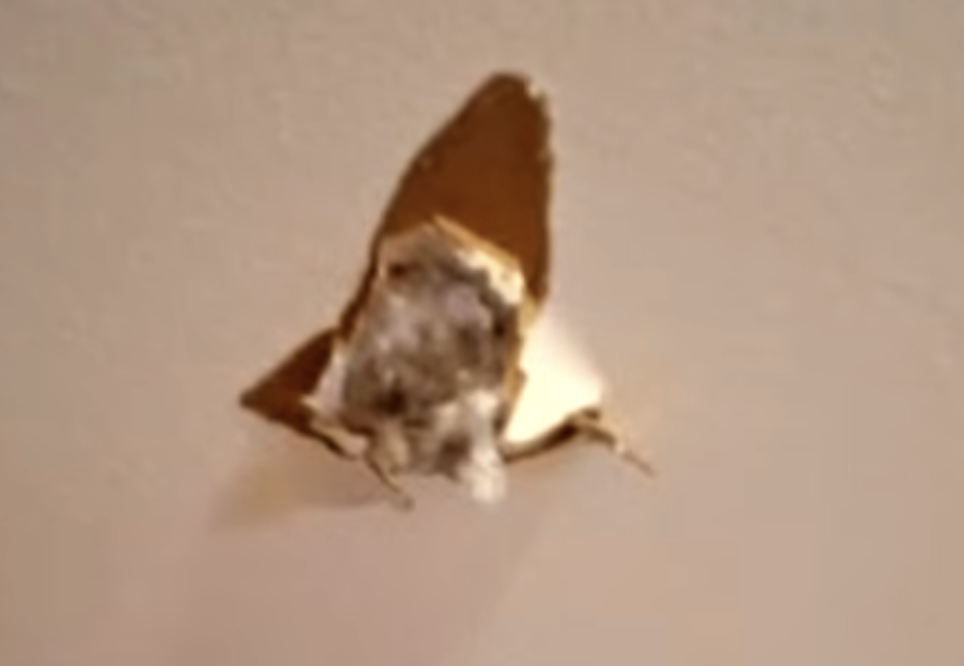 Habría caído un meteorito sobre una casa en Texas