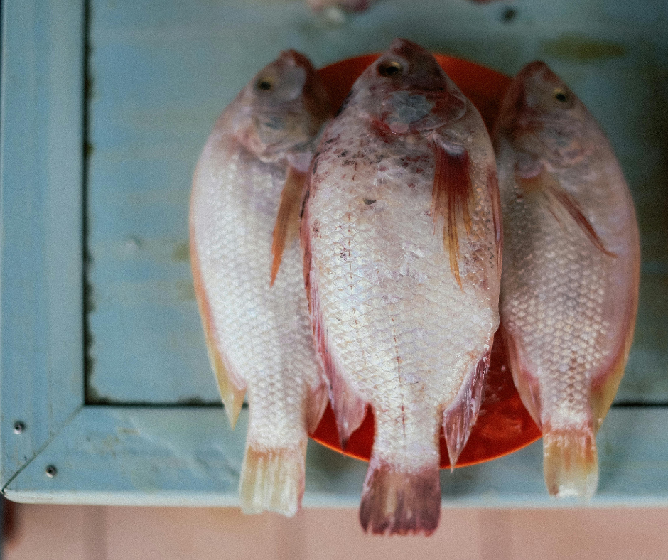 Bajas ventas de pescado pese a precios estables