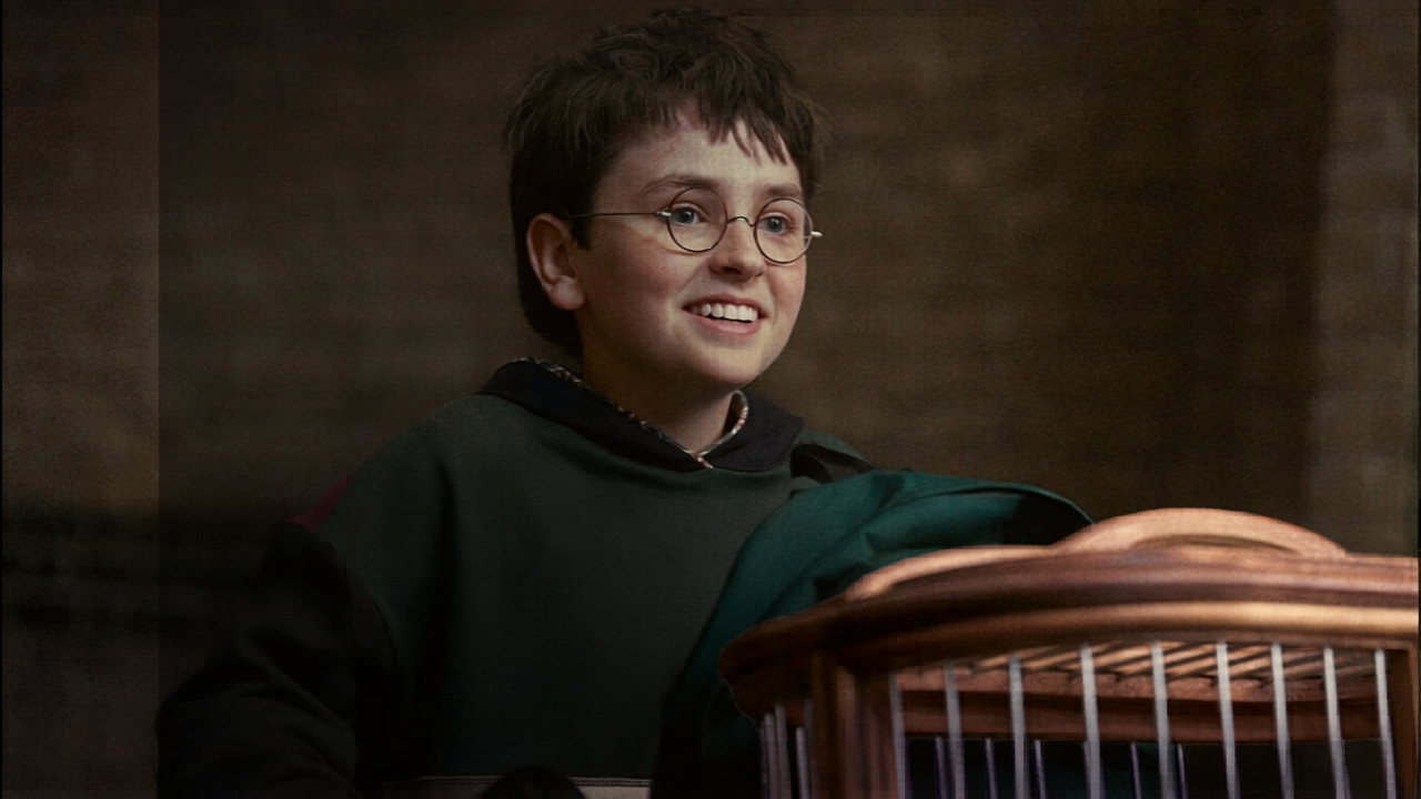 Nueva Vaina: Avance de la serie de Harry Potter (video)