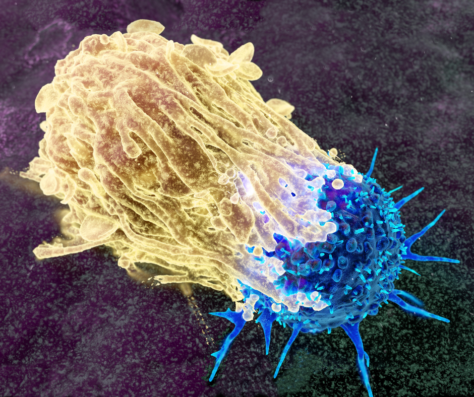 Cáncer de próstata lidera incidencia en República Dominicana