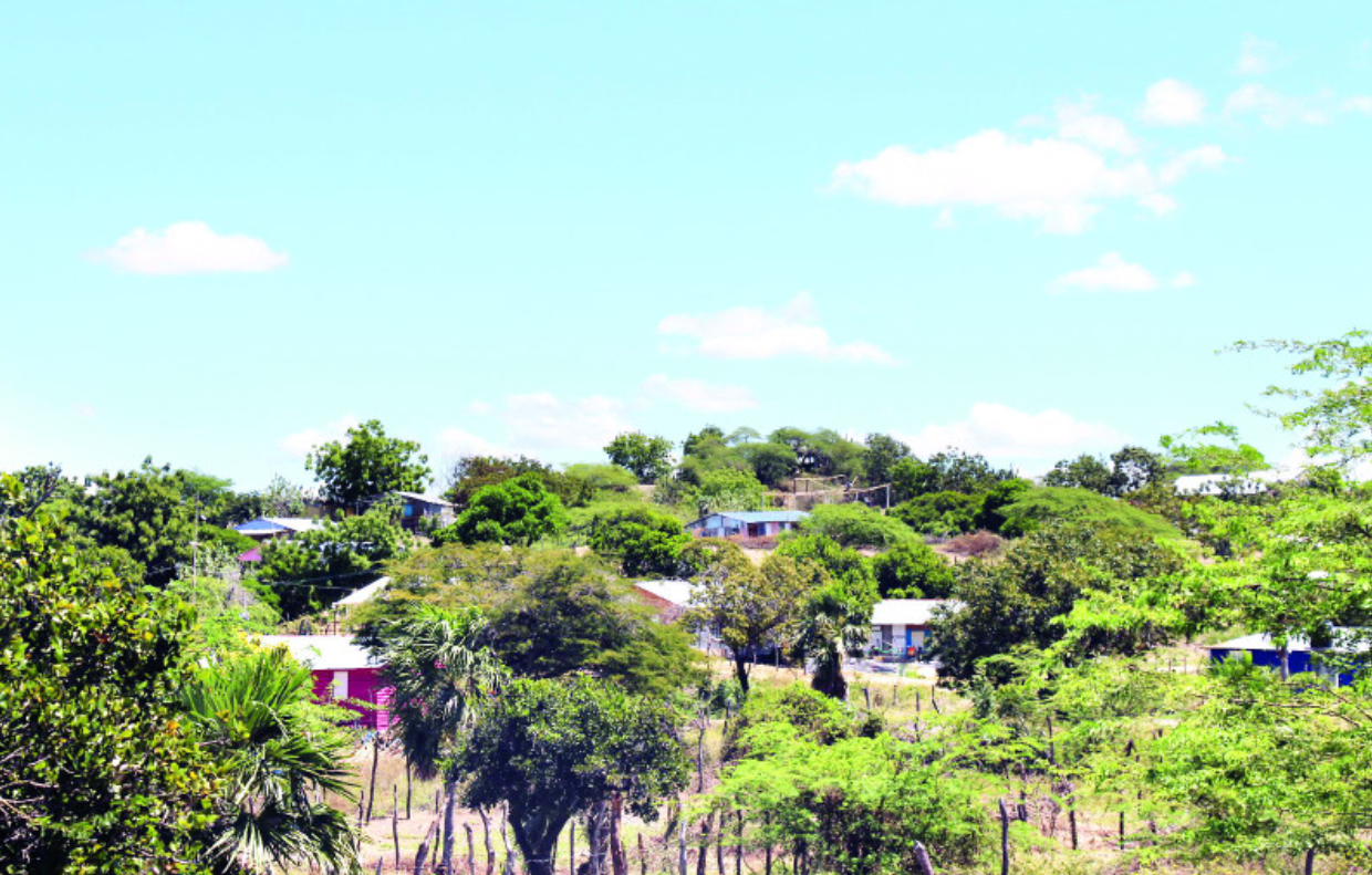 Vuelven a construir un lote de viviendas en las Dunas de Baní
