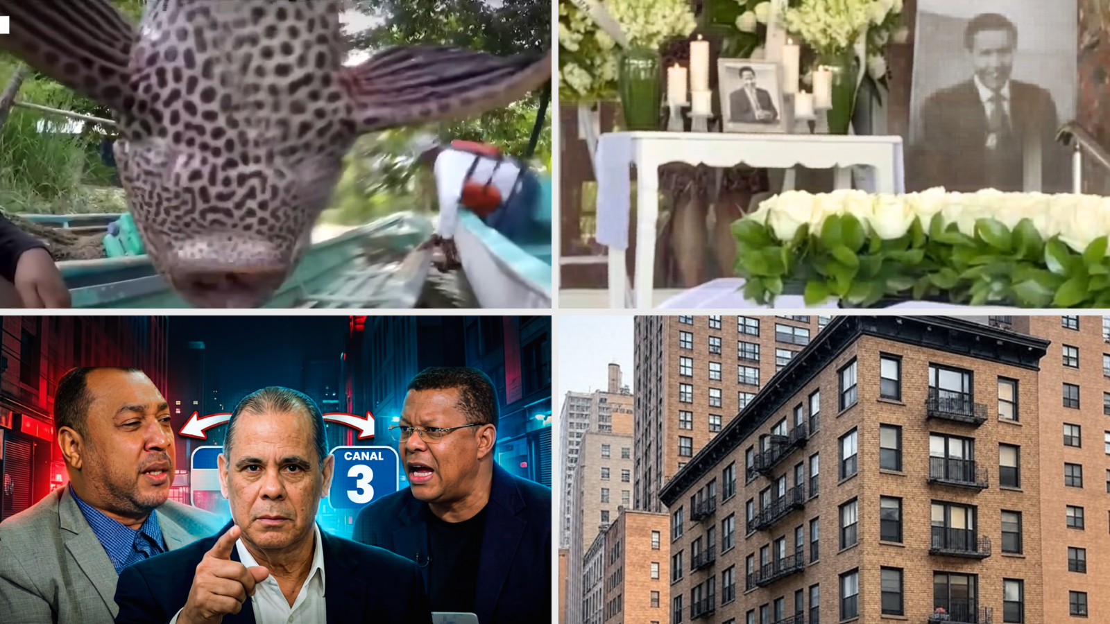 Las más vistas de la mañana