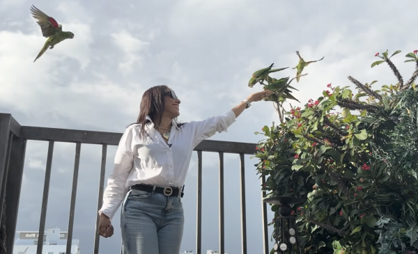 Mil Historias: 19 años contando la esperanza