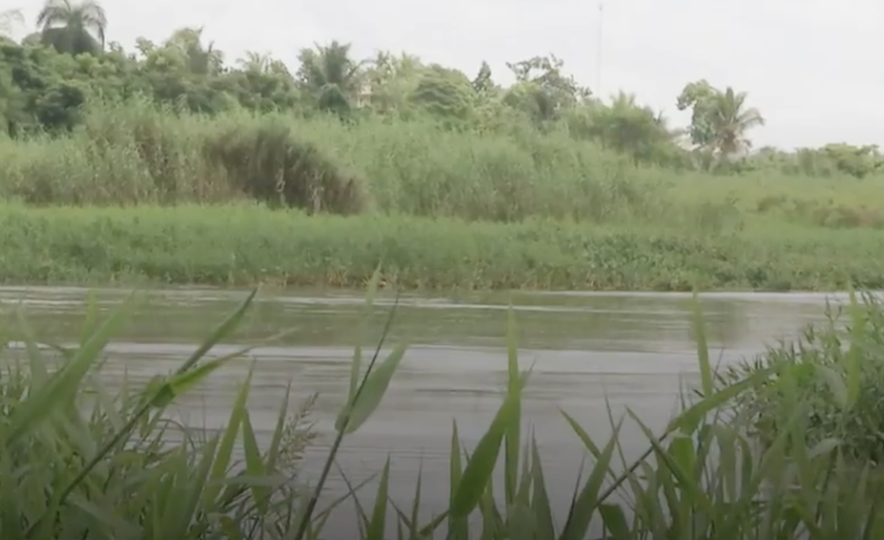 La Barquita: de pulmón verde a zona olvidada por Medio Ambiente