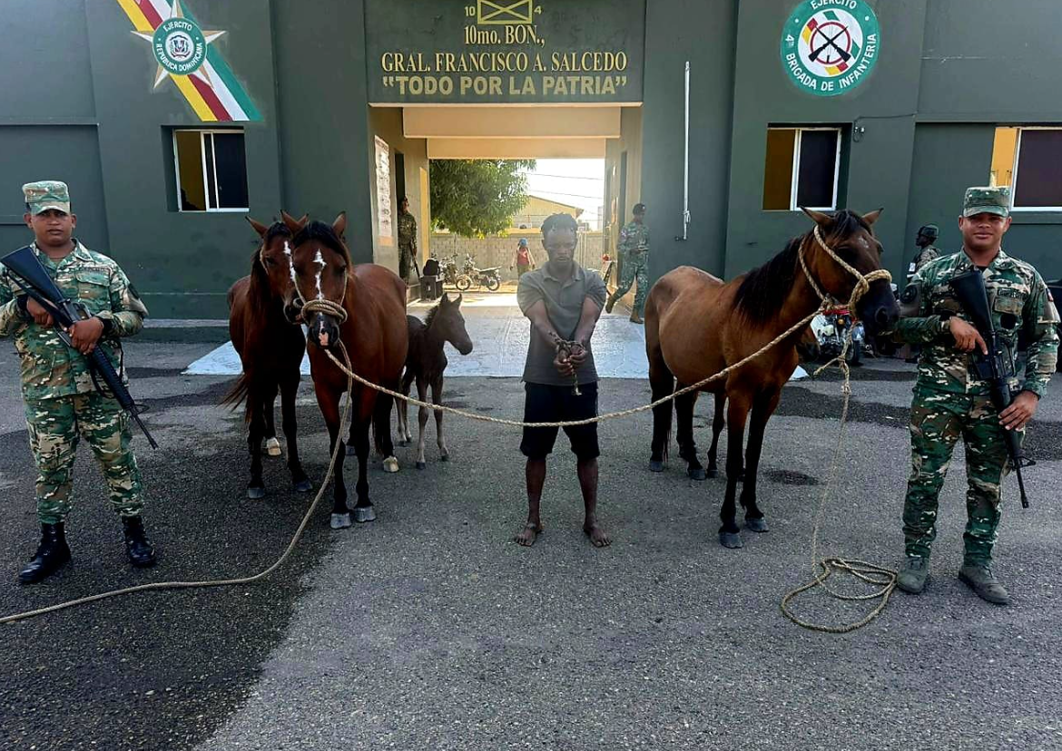 Ejército recupera animales robados tras operativo con drones