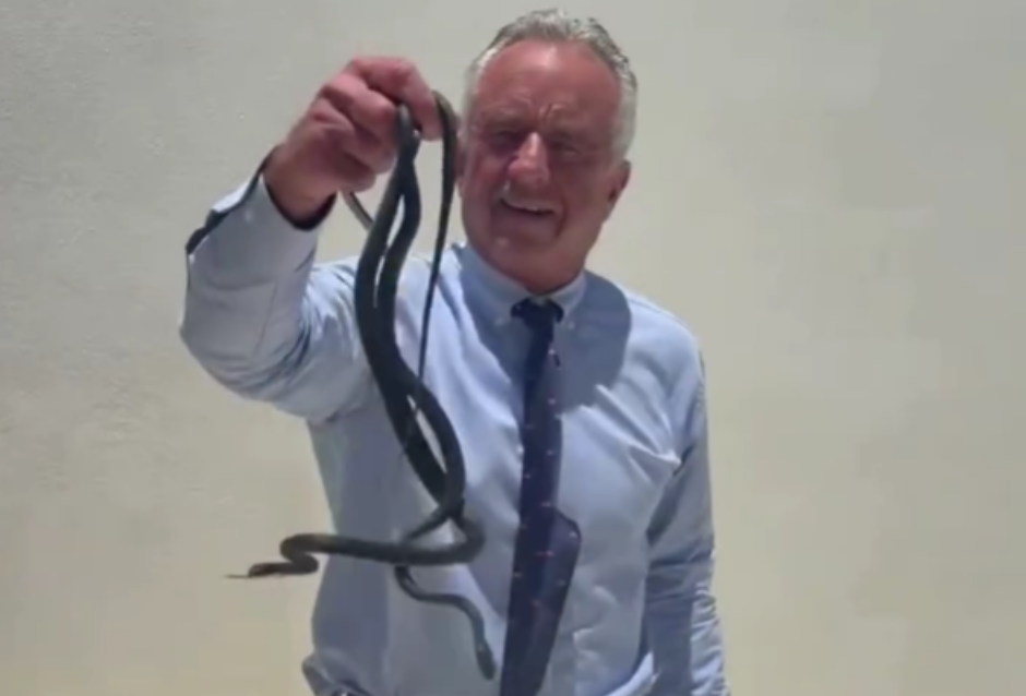 Viral: Robert F. Kennedy Jr. agarra dos serpientes a mano pelá (video)