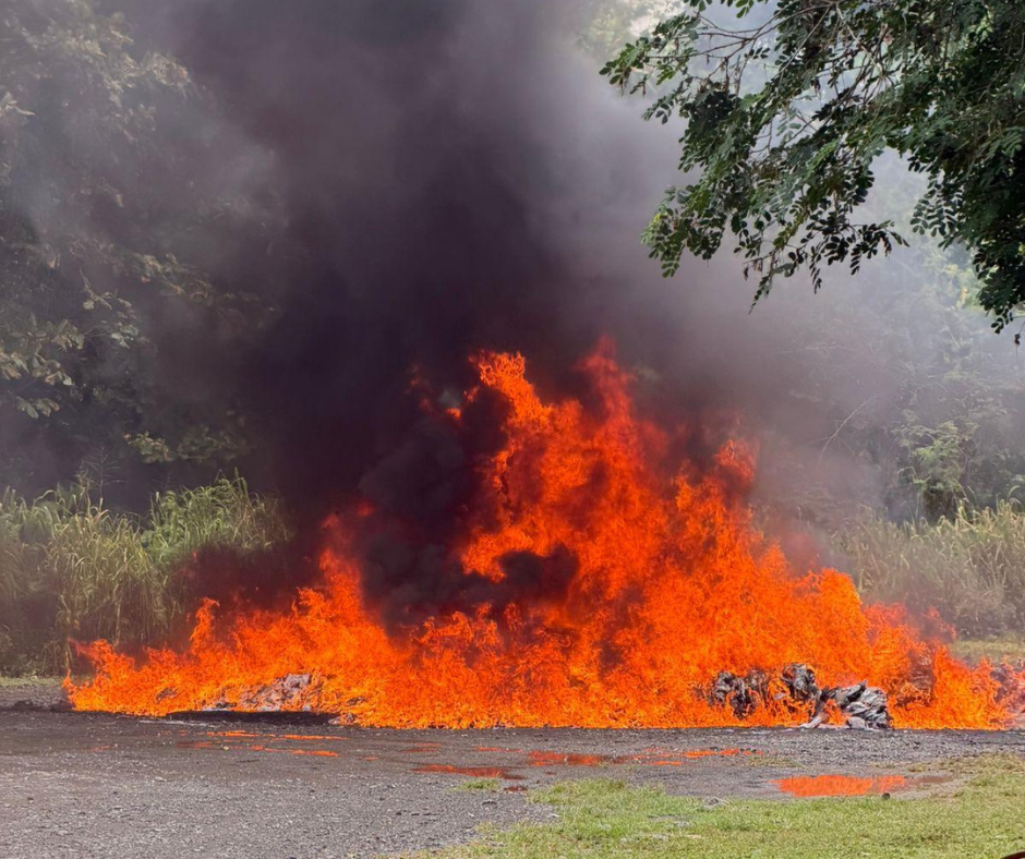 Inacif destruye más de 960 kilogramos de distintas drogas