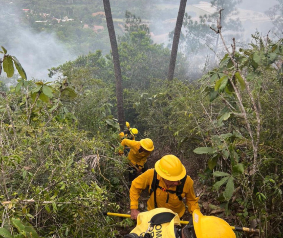 Más de 40 bomberos controlan incendio forestal en Bonao