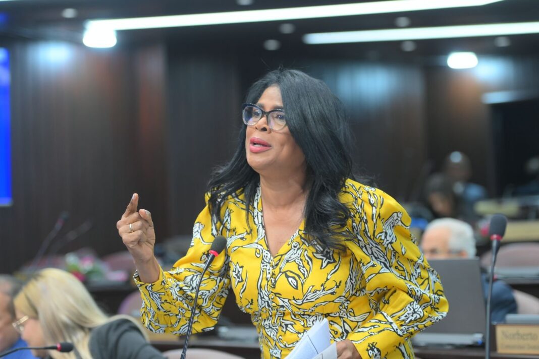Diputada propone blindar la libertad de expresión y eliminar