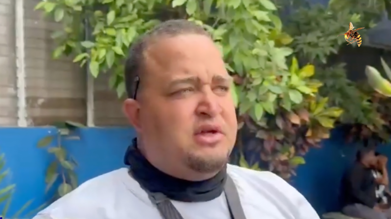 «Se me entró una avispa en la garganta y empezó a 