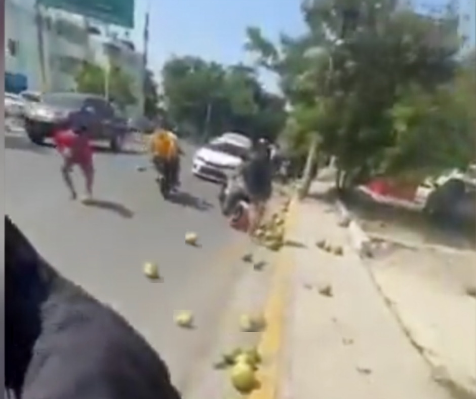 Caos con cocos (video)
